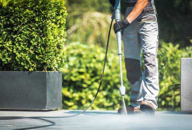 Best Solar Panel Cleaning  in Kimberling City, MO